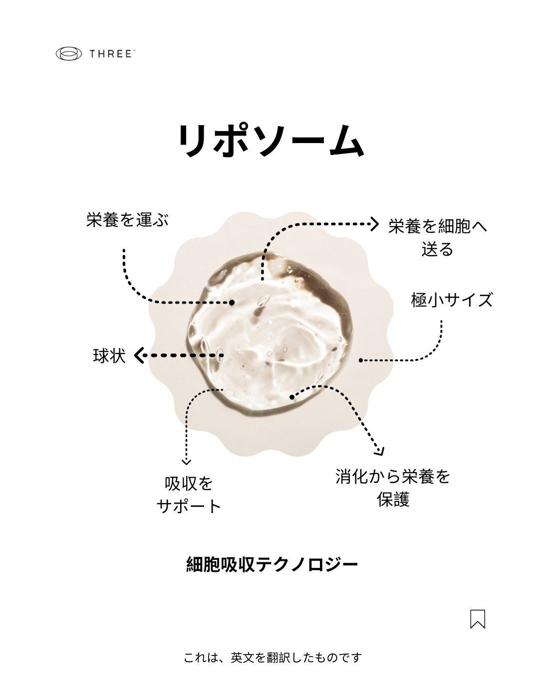 02.11 Liposomes
