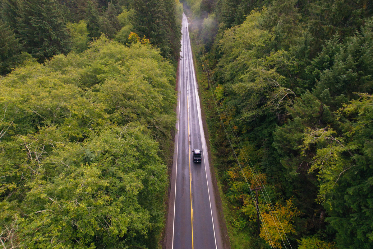 Dr Dan Gubler driving through the lush rainforest of the pacific northwest