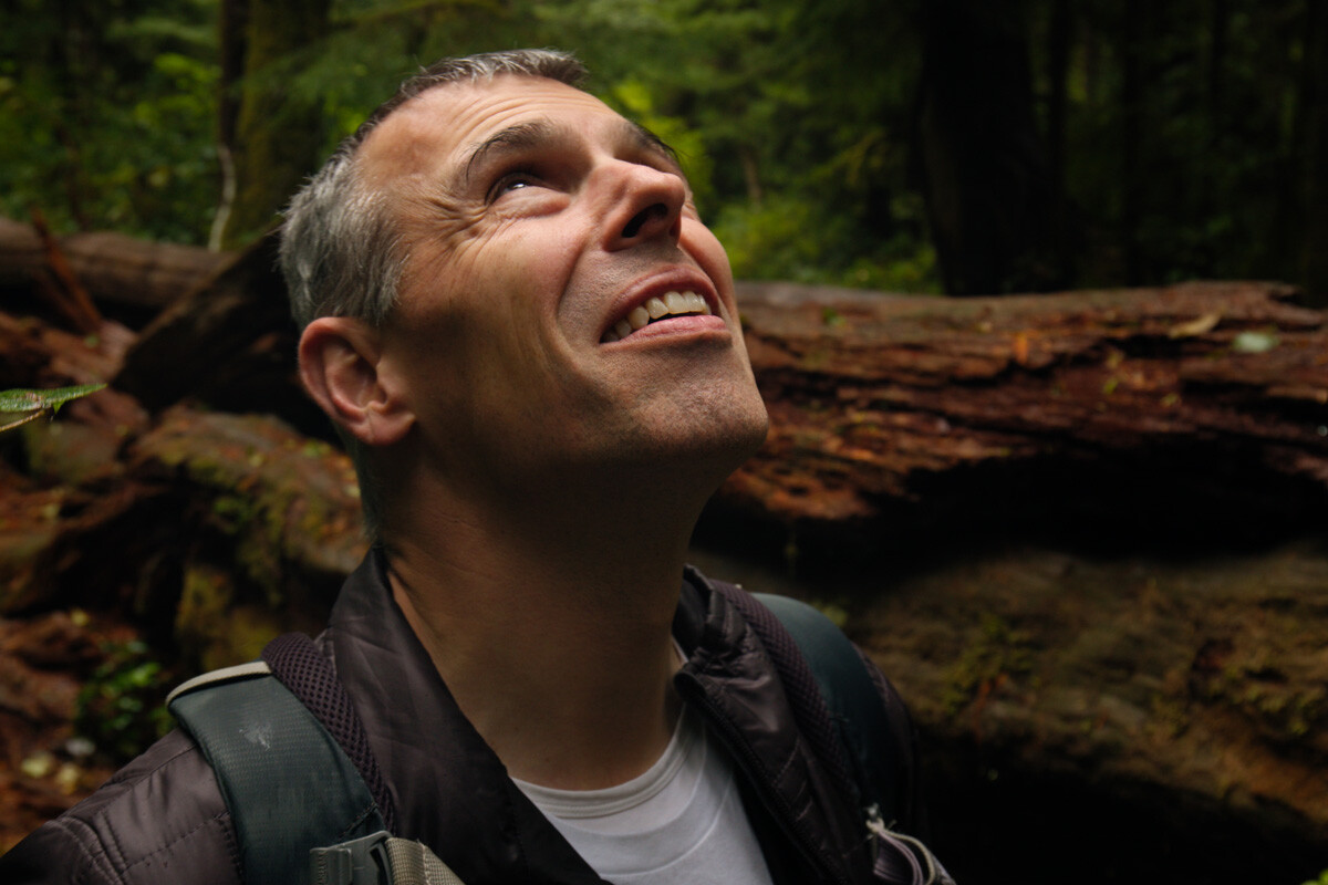 Dr. Dan Gubler standing in a rainforest gazing upwards into the tall trees of the pacific northwest
