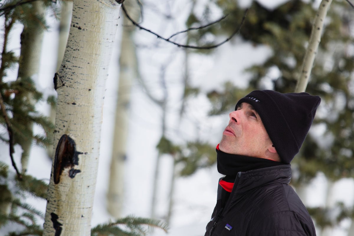 Dr Dan Gubler of Three explores the aspens of the rocky mountains