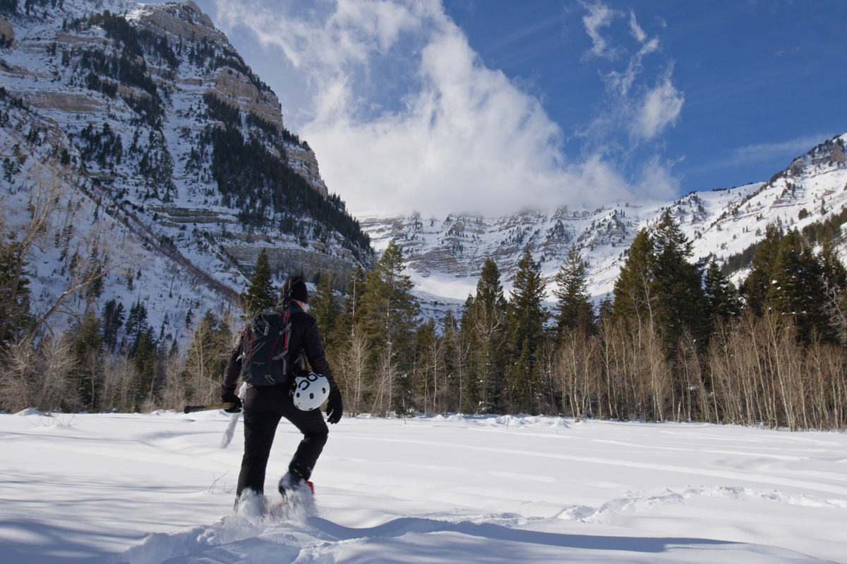 explore the rocky mountains with dr dan gubler