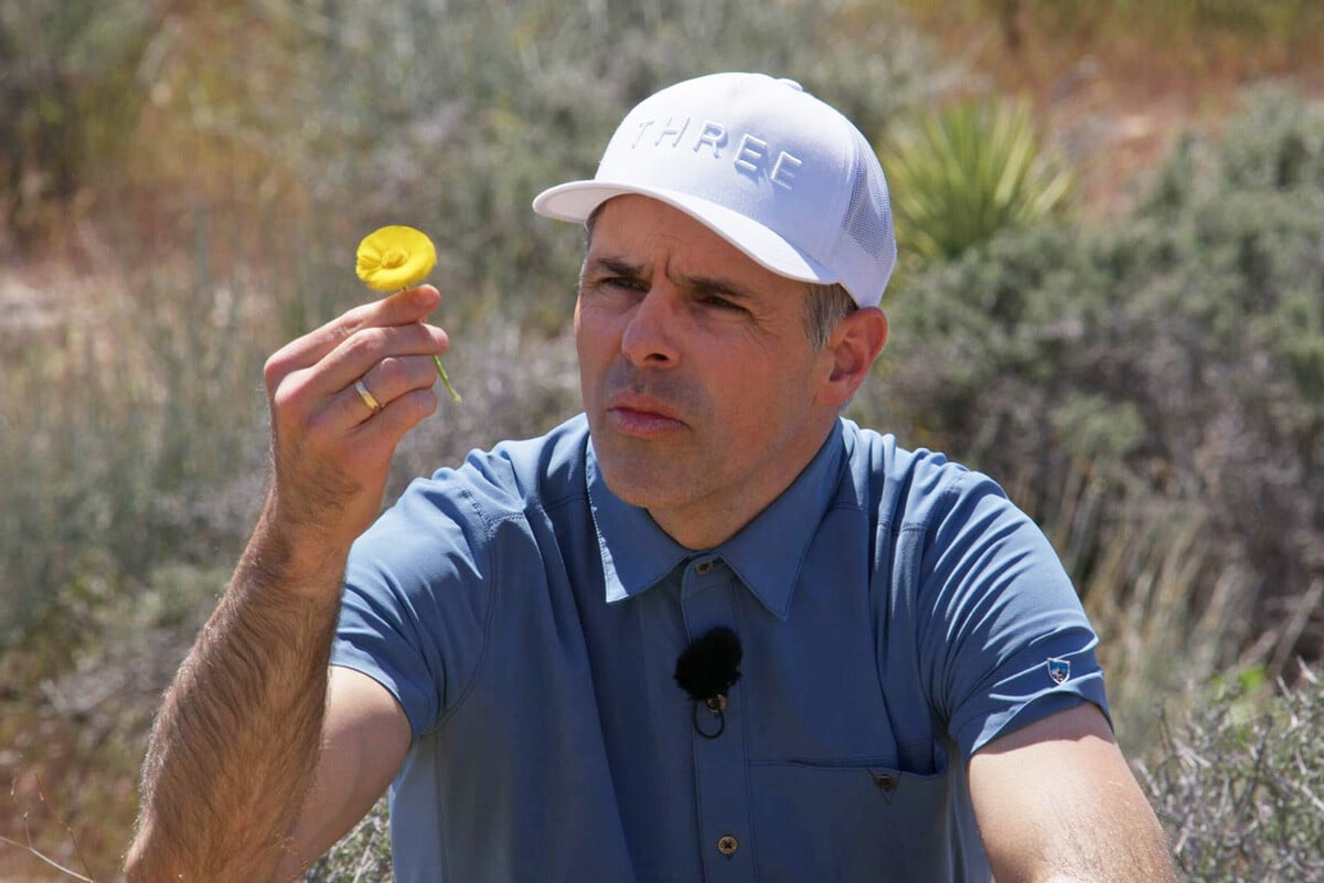 Dr Dan Gubler examining a yellow flower in the Mojave Desert on Explore with Dr Dan