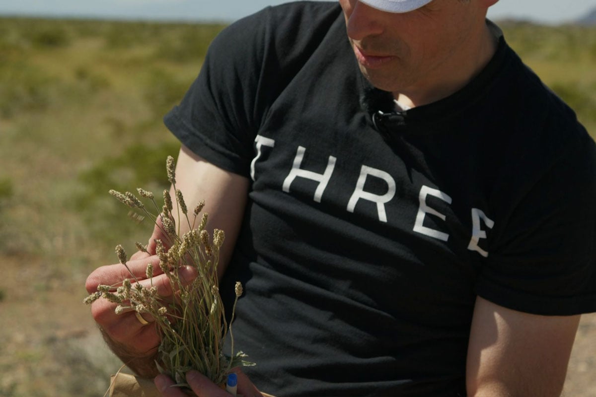 Dr Dan Gubler examining thistle plants in the Mojave Desert on Explore with Dr Dan