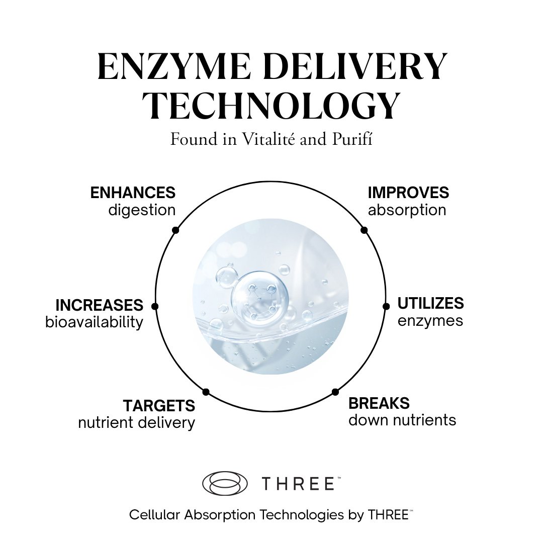 THREE-Enzyme-Delivery-Graphic