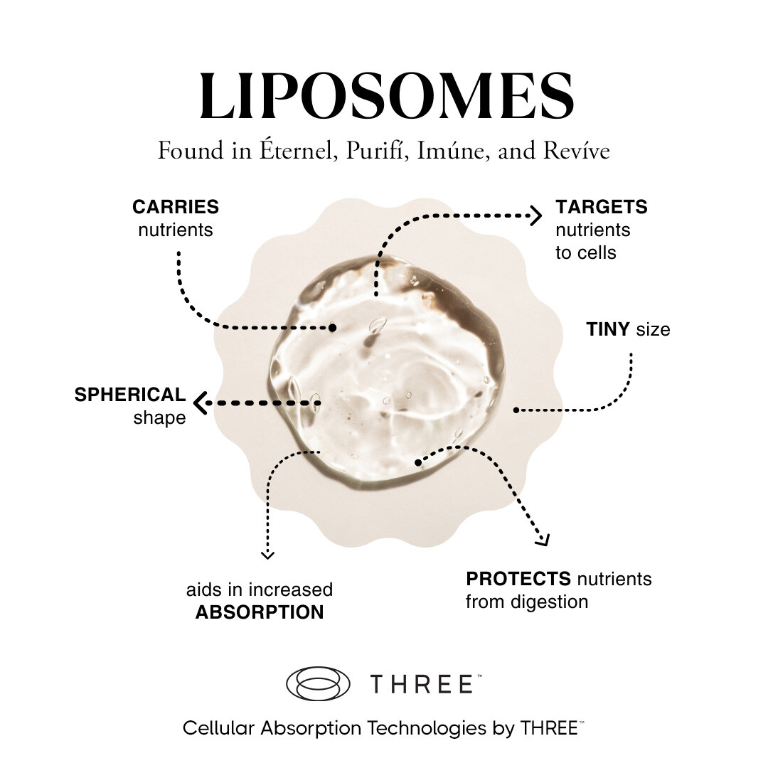 Liposome supplement how they work info graphic by THREE International